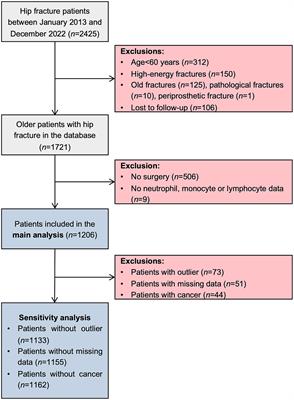 Association of systemic inflammation response index with mortality risk in older patients with hip fracture: a 10-year retrospective cohort study